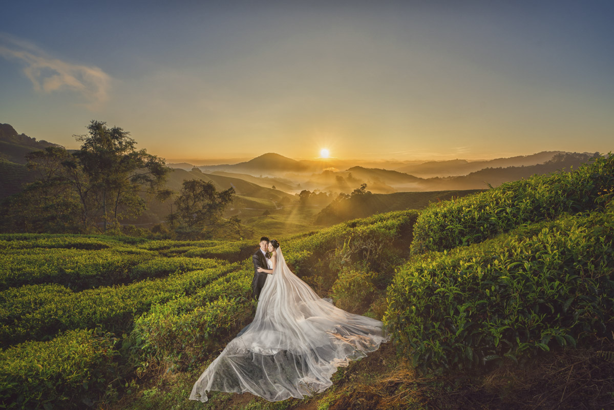 Evan&Jing Wedding Photography